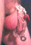 Curve & Chastity Piercing