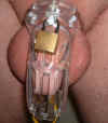 Curve Chastity Device